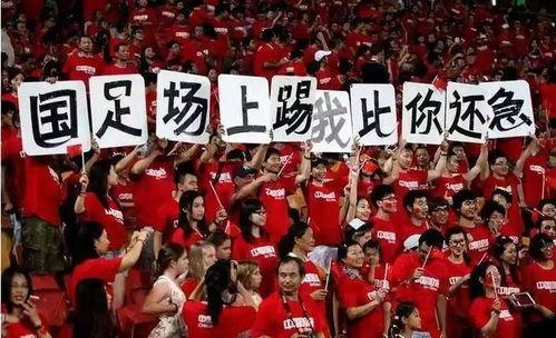 明天国足比赛爆料视频,独家爆料视频揭示关键战术与阵容调整  第3张